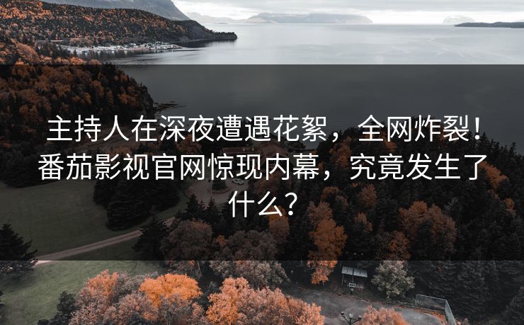 主持人在深夜遭遇花絮，全网炸裂！番茄影视官网惊现内幕，究竟发生了什么？