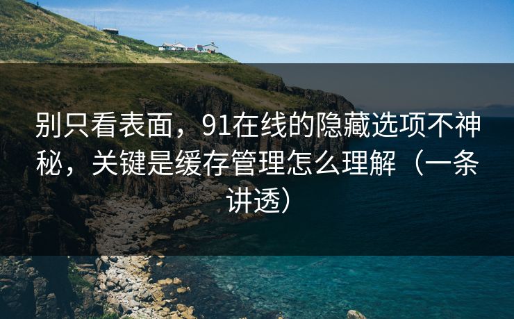 别只看表面，91在线的隐藏选项不神秘，关键是缓存管理怎么理解（一条讲透）