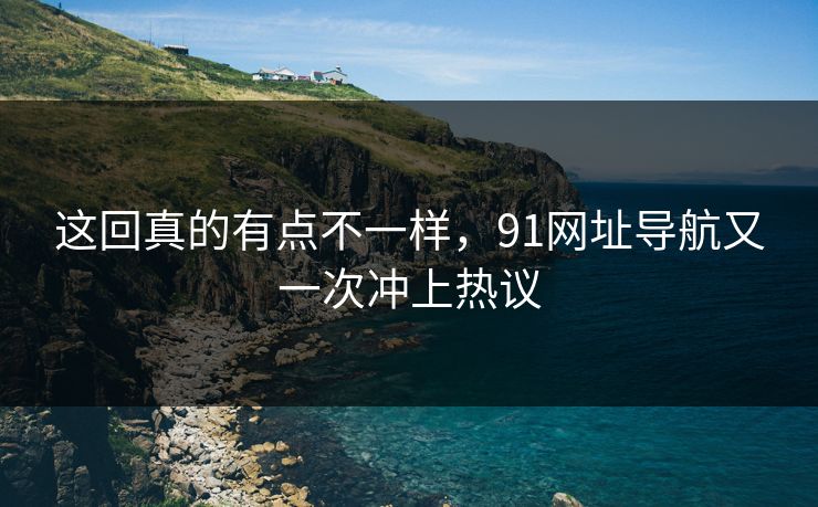 这回真的有点不一样，91网址导航又一次冲上热议